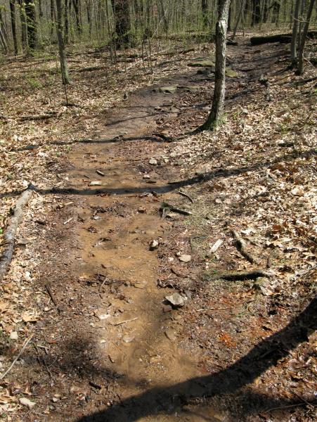Nach tagelangem Dauerregen ist der Weg ein Bachlauf